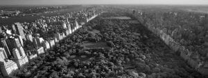 NYC web design - Central Park